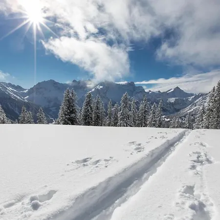 アパート Haus Windegga ブラント