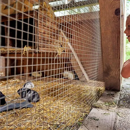 アパート Haus Windegga *